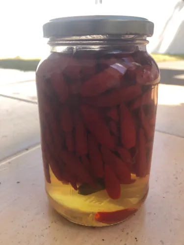 Molho de pimenta malagueta do sítio