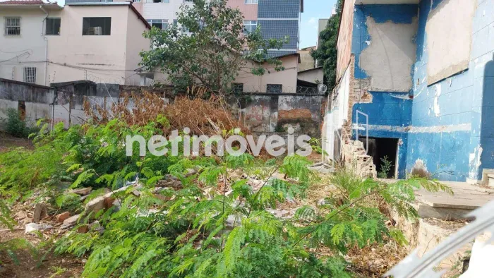 Venda Lote-Área-Terreno Nova Suíssa Belo Horizonte