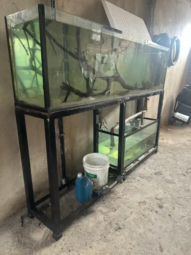 Aquário 220x40x60