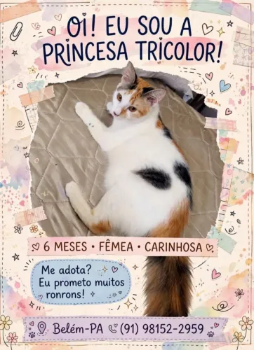 Doação responsável