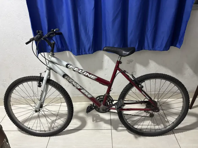 Bicicleta Unissex - Feline, Wendy Bike.