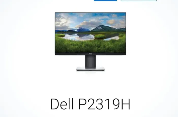Monitor Dell