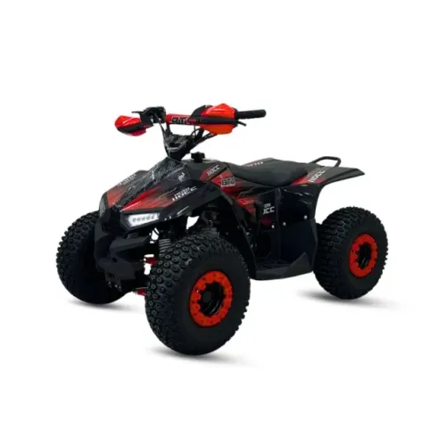Quadriciclo Iron 110 2026 (0KM Pronta Entrega) Em até 12x sem juros no cartão