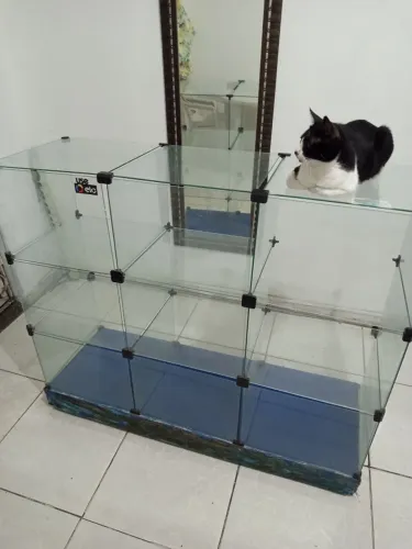 Vitrines para loja