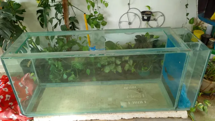 Vendo aquario grande com sump lateral