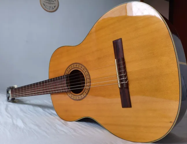 Violão Giannini GWNX 17 + Capa