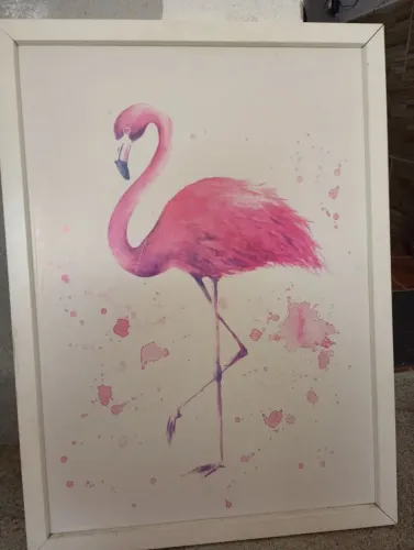 Quadro flamingo