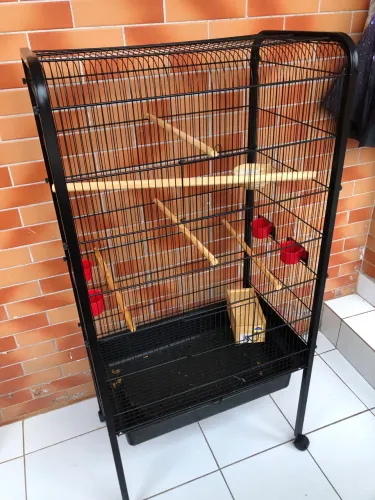 Viveiro gaiola praticamente novo 