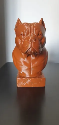 Busto American Bully