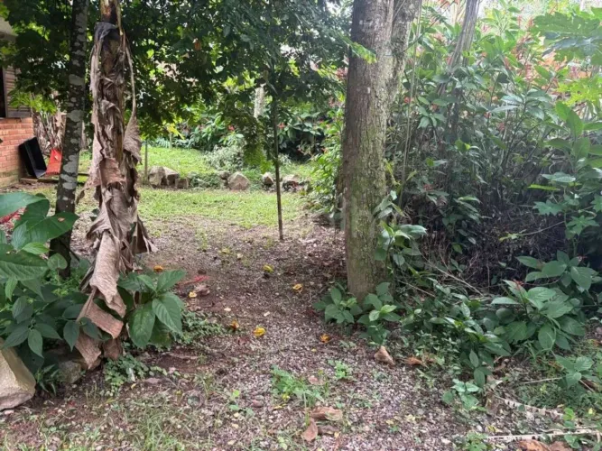 Terreno para Venda em Florianópolis, Jurerê