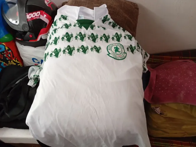 Blusa da mancha verde