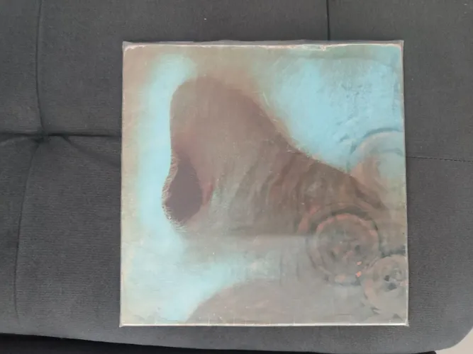 Vinil pink floyd