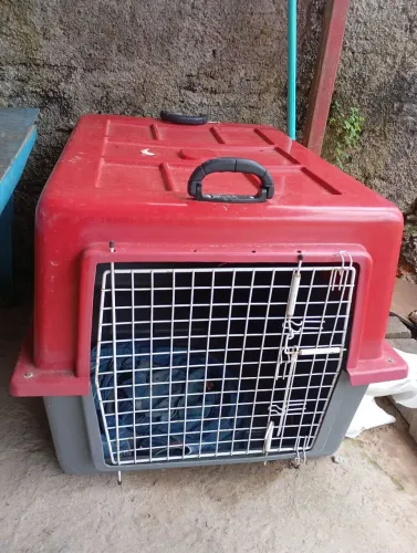 Casa ? pra pets
