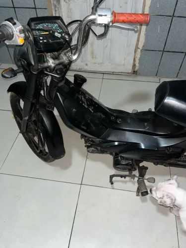 Shineray XY 50-q Phoenix 2013
