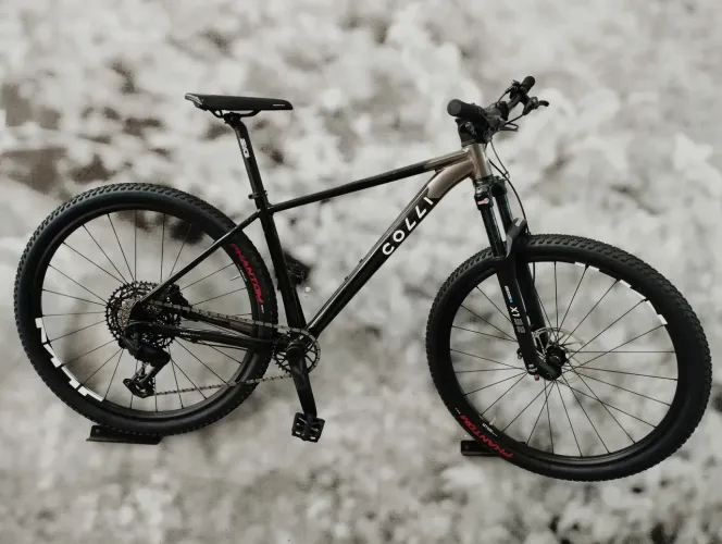 Bicicleta aro 29