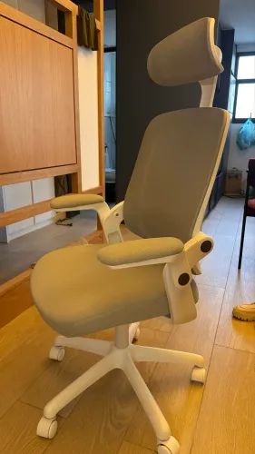 Cadeira Ergonômica Elements Astra - Cinza & Branco