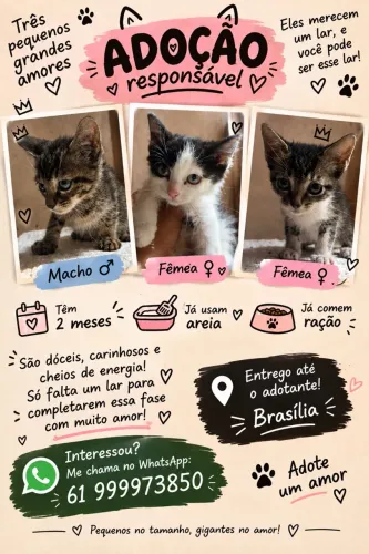 Doação