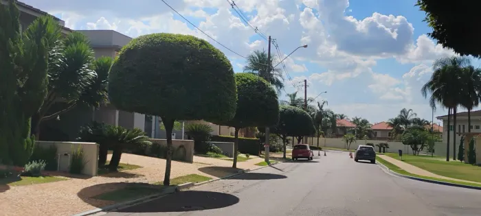 Jardinagem hem geral poda arvore limpeza terreno retirada árvores , plantio grama