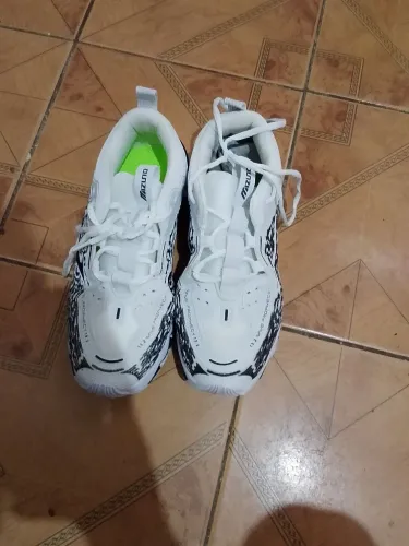 Tenis