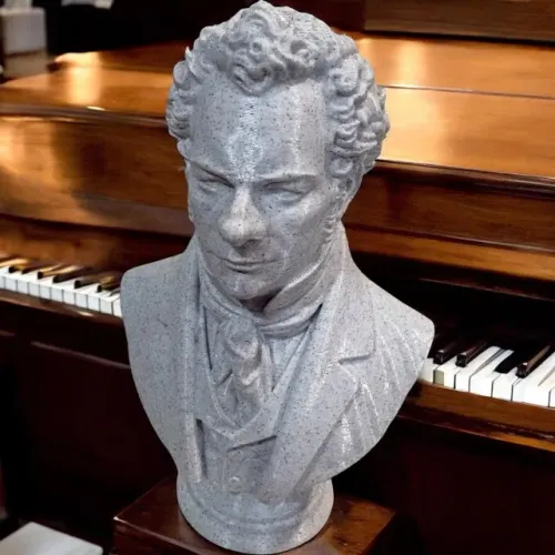 Busto 3D - Schubert