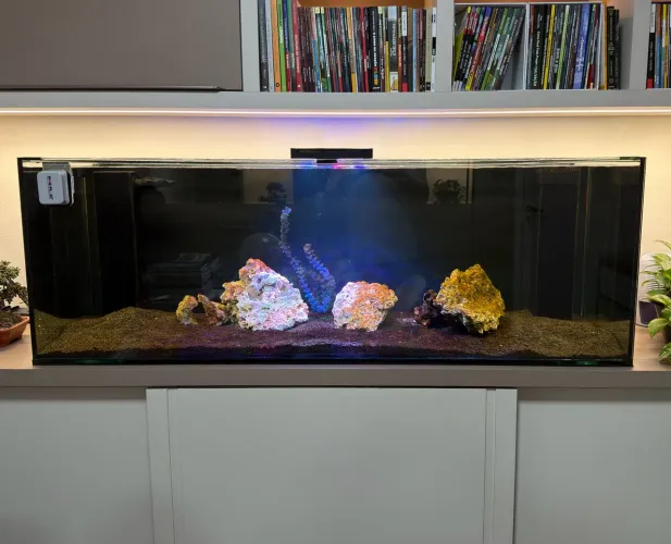 AQUÁRIO 380 L + SUMP COMPLETO