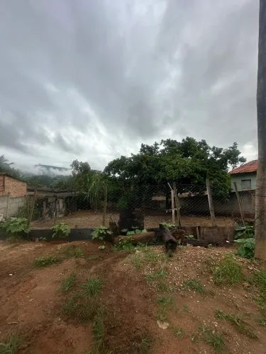 Lote Mateus Leme no Vila Suzana