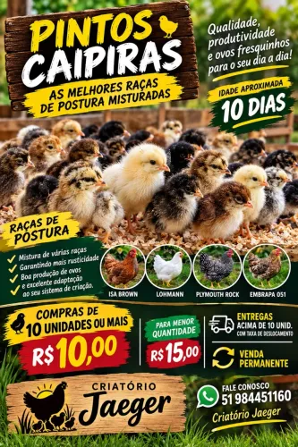 Pintos