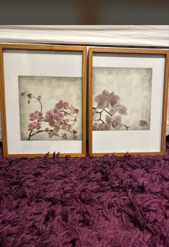 Quadros decorativos orquídeas.
