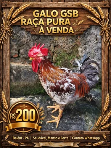 Disponível pra venda