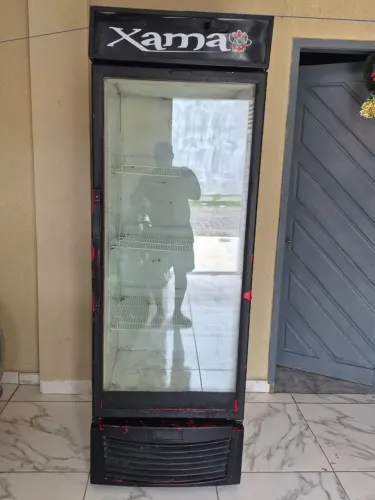Vendo freezer expositor valor 1000 retirada nossa senhora da apresentação
