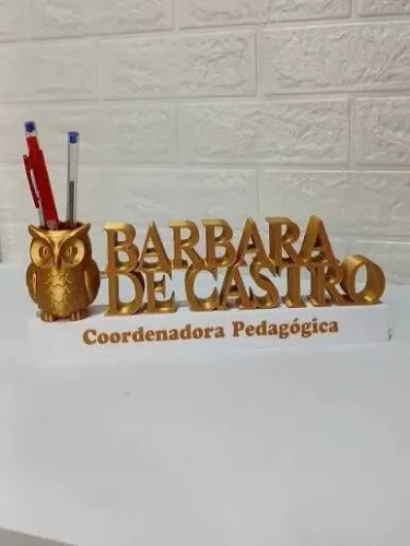 ? Mini Letreiros Personalizados com Nome e Profissão