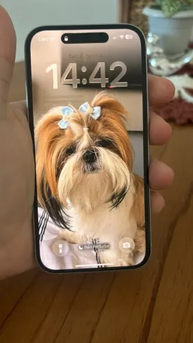iPhone 15 azul com caixa