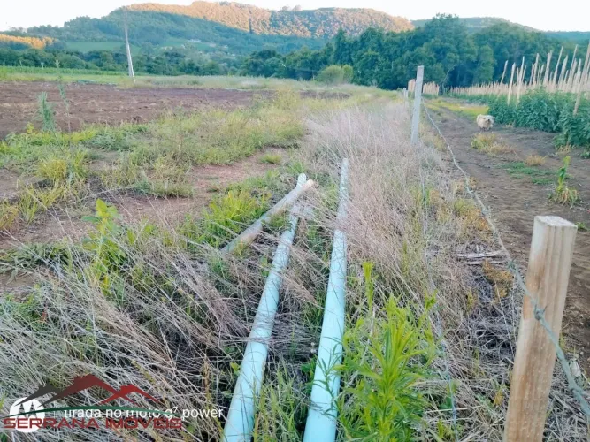 AREA RURAL em Nova Petrópolis - RS, Linha Araripe