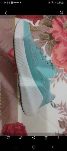 Tenis