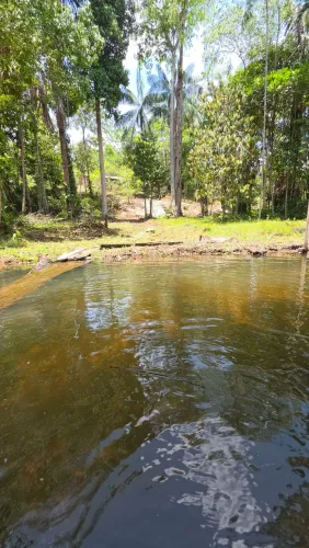 Sitio no Ramal castanheira