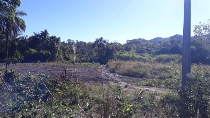 VENDE-SE FAZENDA COM 120 ALQUEIRES