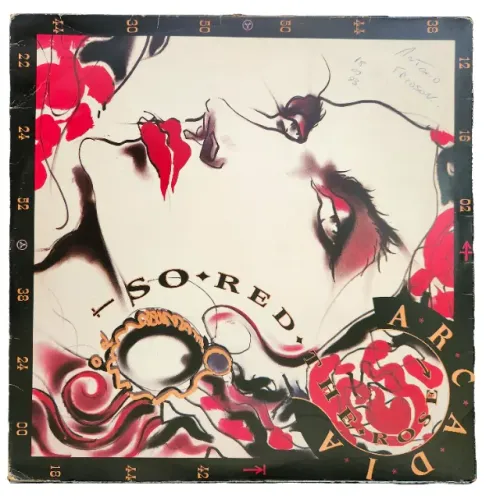 Disco de vinil (LP) de integrantes do Duran Duran - Arcadia e Power Station