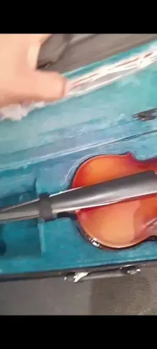 Violino