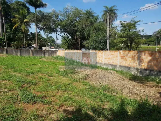 Lote , Jardim Atlântico - Belo Horizonte/MG
