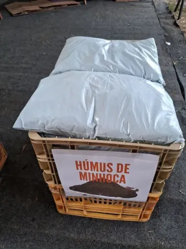 Húmus de minhoca em Campina Grande 