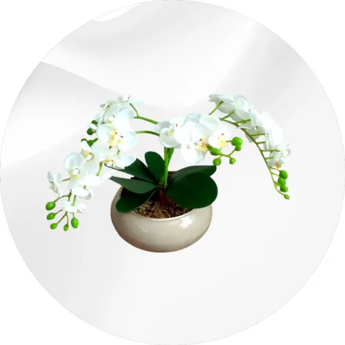 Linda, Perfeita e Agradável - Arranjo de Orquideas Brancas em Um Vaso Nude Lindissimo
