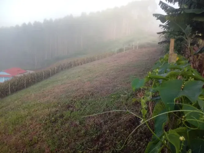 Chácara.em são João do garrafão.santa Maria de Jetibá