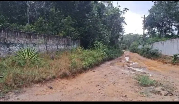 Terreno no Tarumã medindo 10.000m²