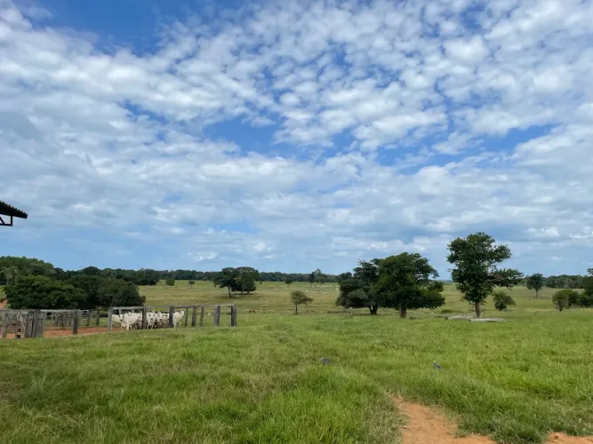 Fazenda de 197 alqueires em Novo Brasil-GO
