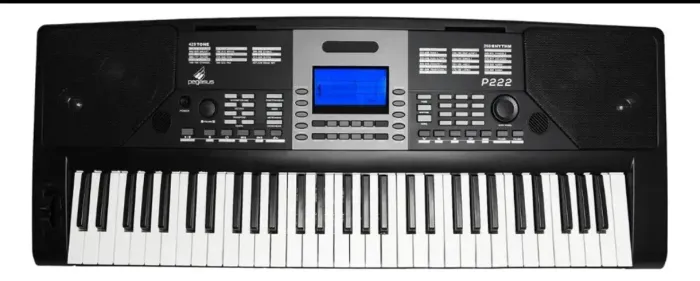 Teclado Musical Pegasus P222 Com 61 Teclas