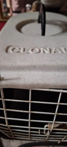 Caixa transporte gato ou  cachorro pequeno 