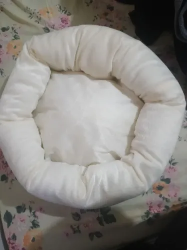Vendo caminha de cachorro ou gato?