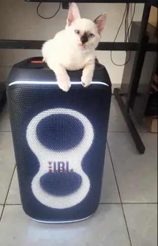  JBL PARTYBOX CLUB 120