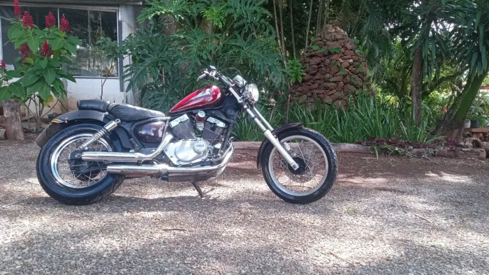 Virago 250
