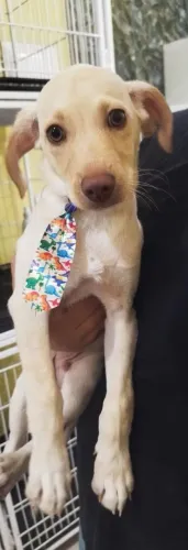 Doação